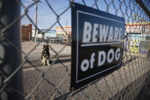 Dog Bite Lawyer Tulsa, OK - Guard dog behind 'Beware of dog' sign on fence